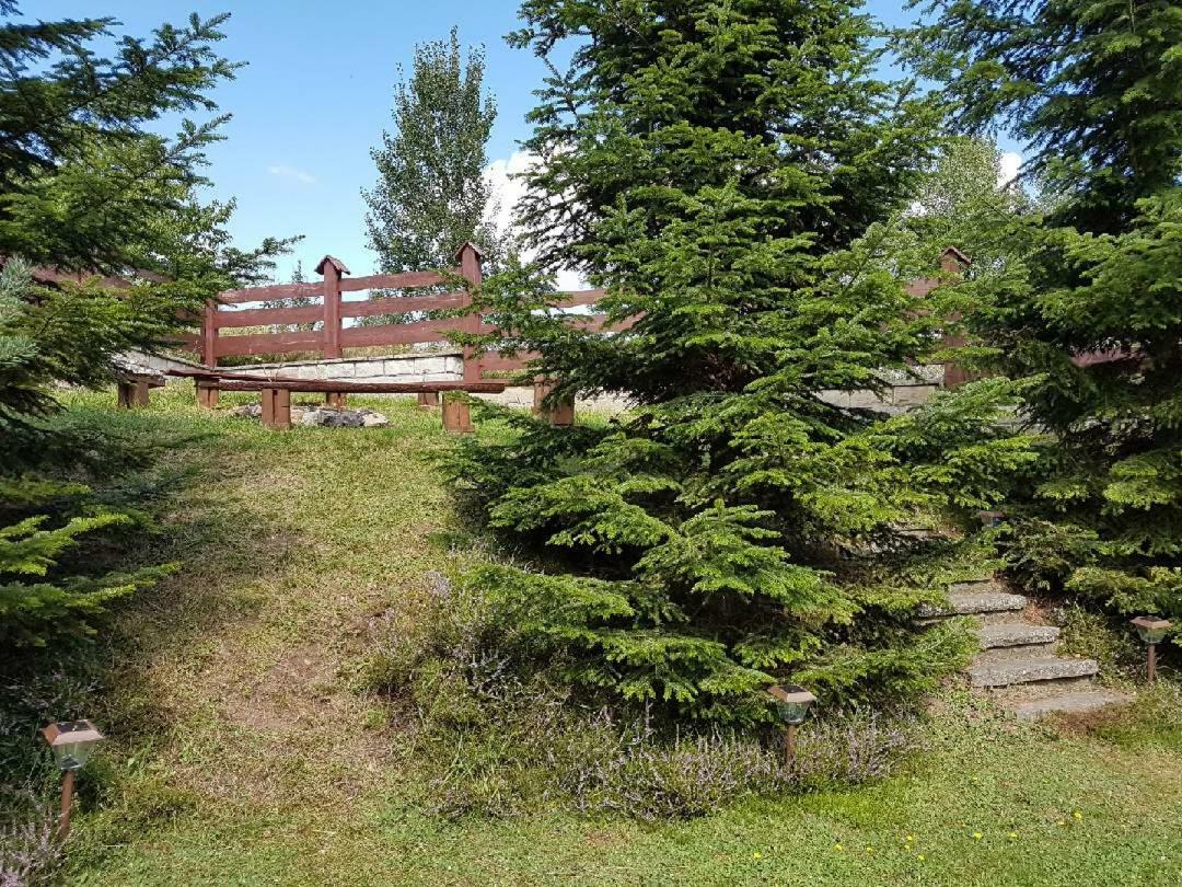 Villa Dom na wzgórzu Polanica-Zdrój Exterior foto