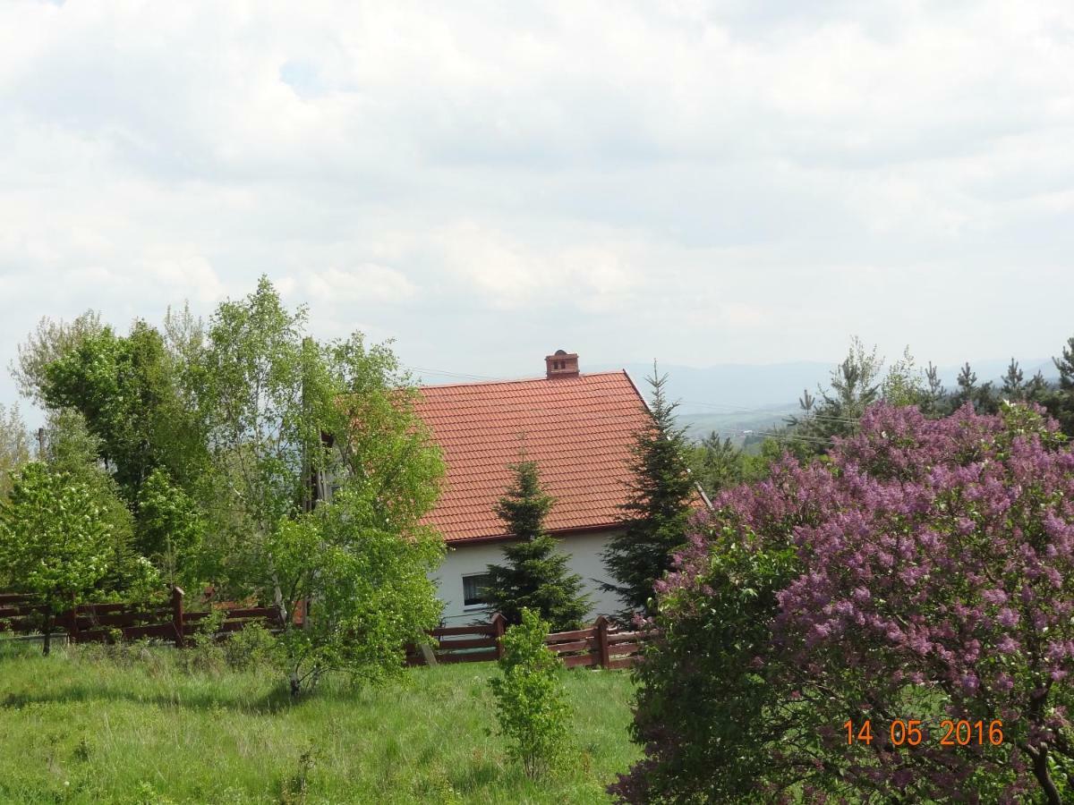 Villa Dom na wzgórzu Polanica-Zdrój Exterior foto