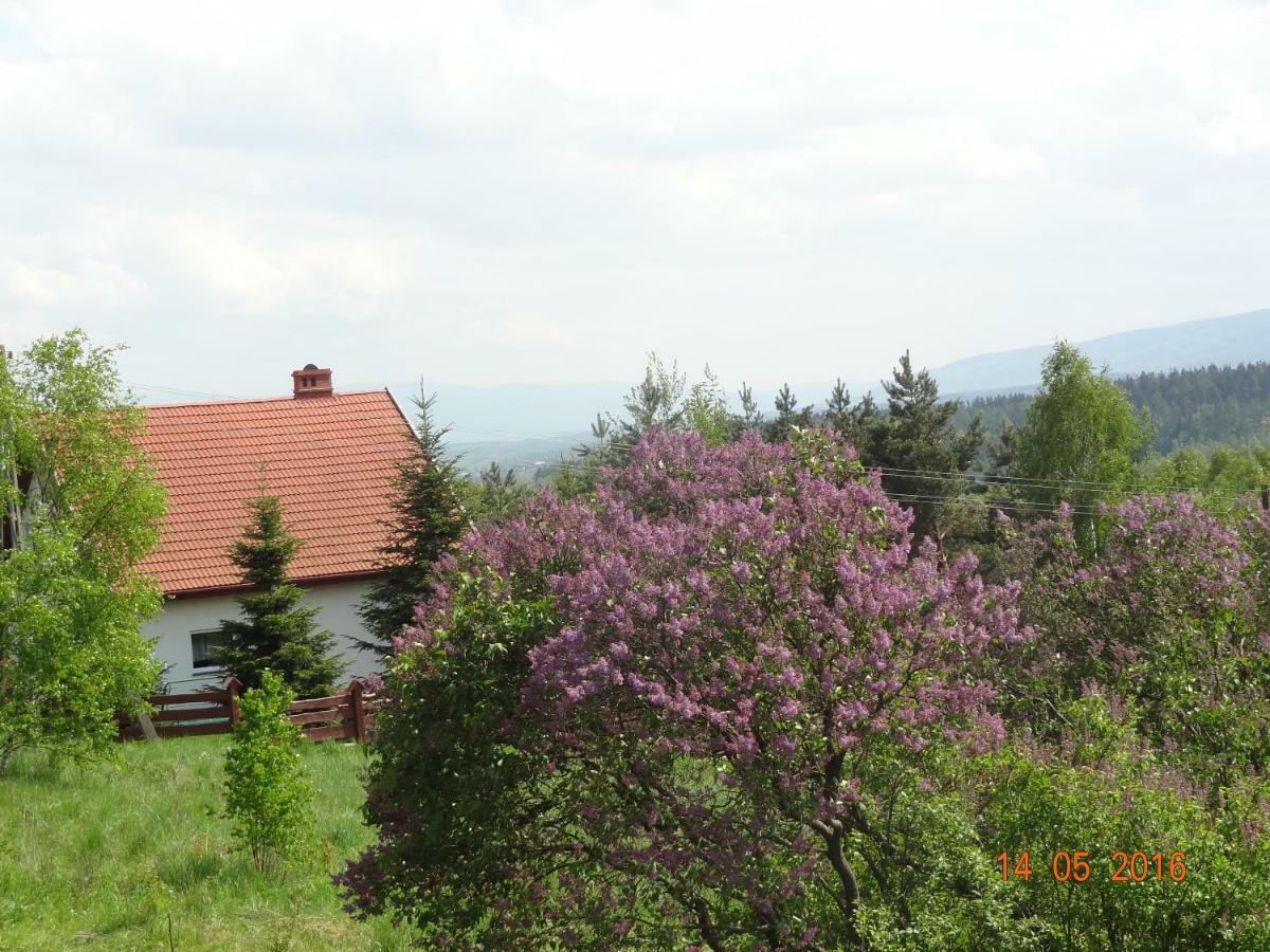 Villa Dom na wzgórzu Polanica-Zdrój Exterior foto