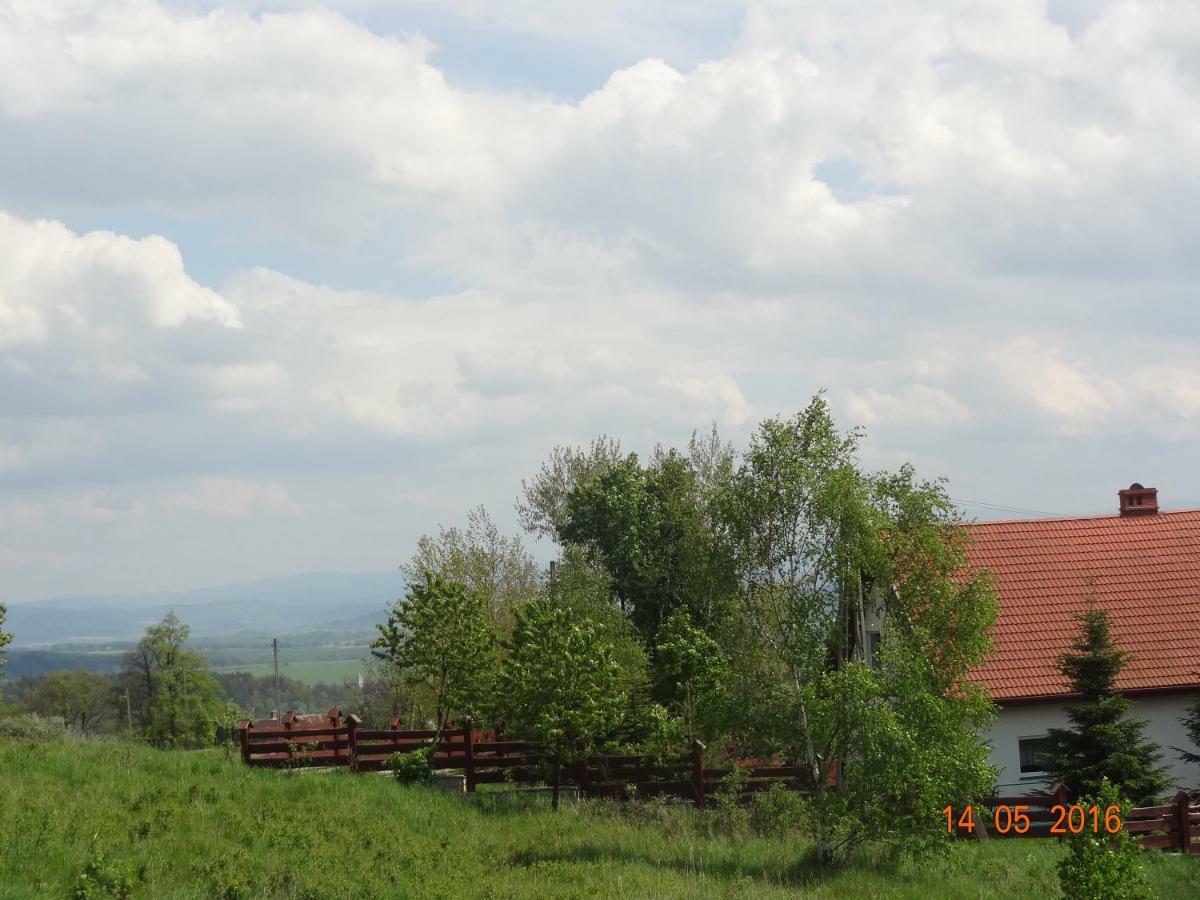 Villa Dom na wzgórzu Polanica-Zdrój Exterior foto